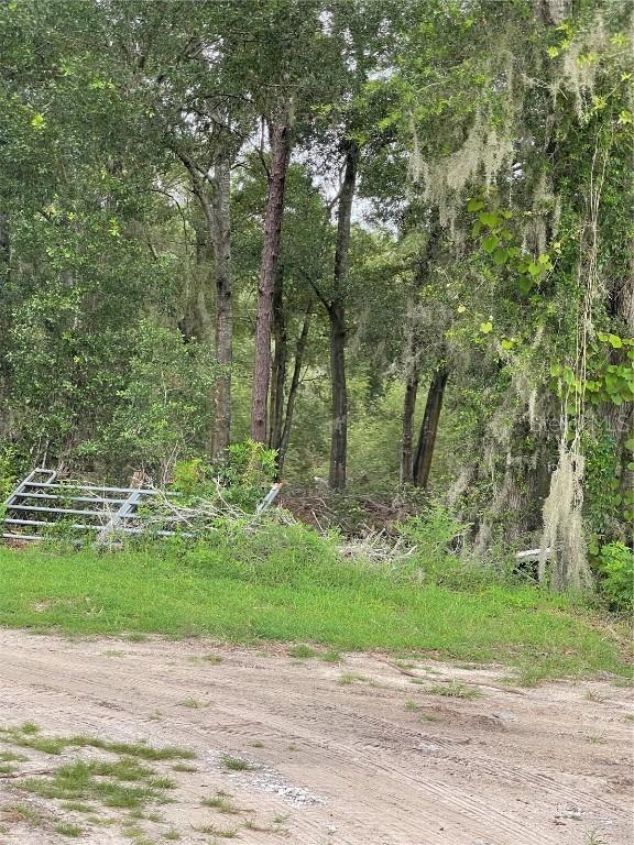 Se 150th Place, Summerfield, FL 34491