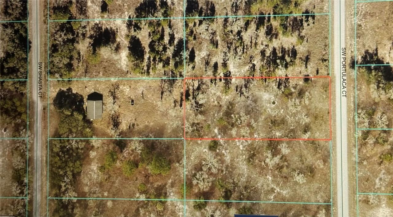 Sw Portulaca Ct, Dunnellon, FL 34431