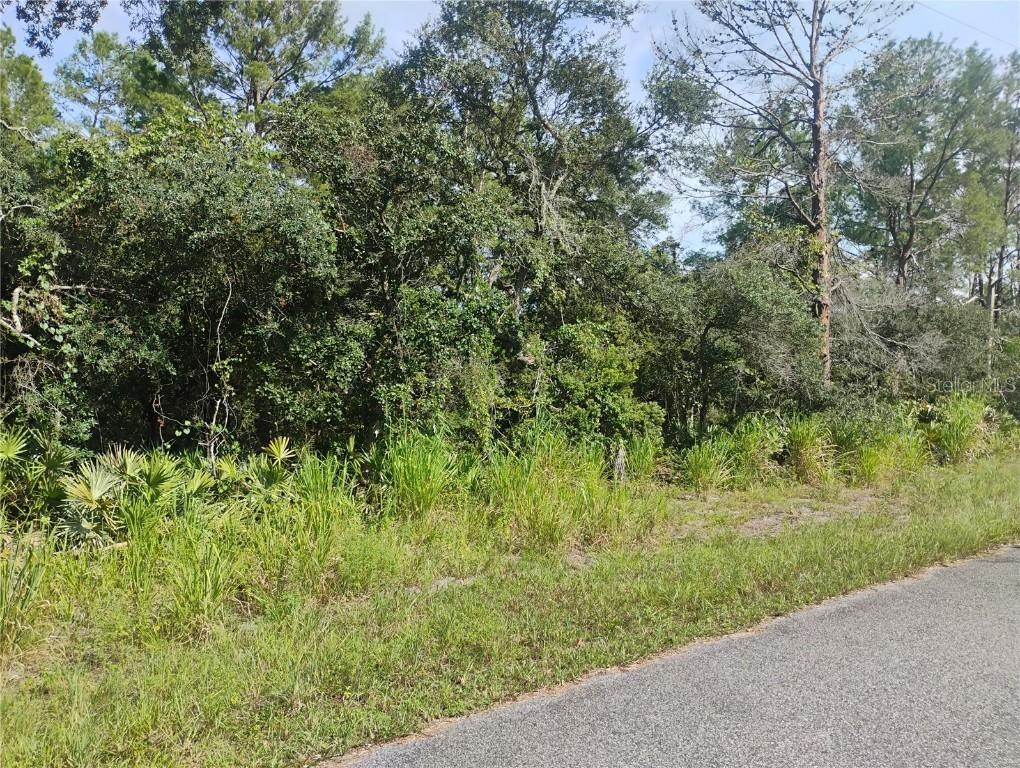 tbd Cedar St., Paisley, FL 32767