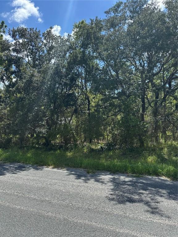 4 Honeysuckle Ct., Homosassa, FL 34446