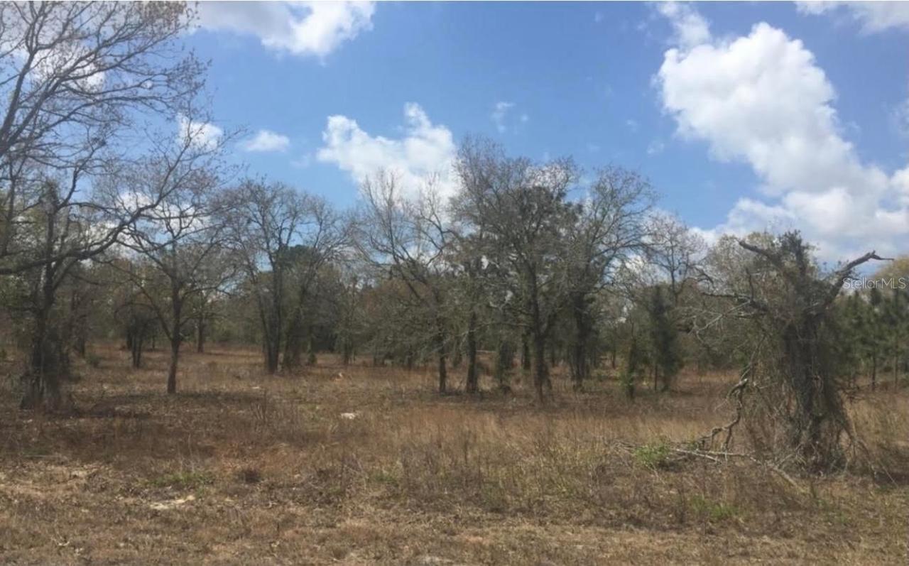 TBD SW Portulaca Ct, Dunnellon, FL 34431