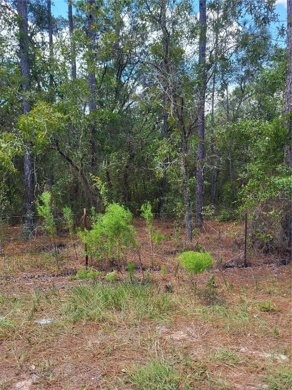 SW 178th Ter., Dunnellon, FL 34432