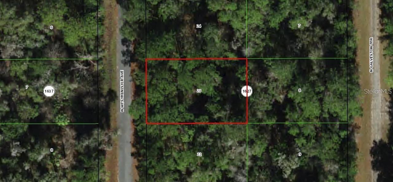 9393 N Westminister Avenue, Citrus Springs, FL 34434