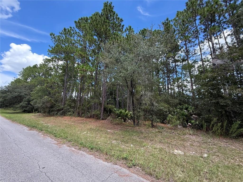 TBD SW 80th Ct., Ocala, FL 34473
