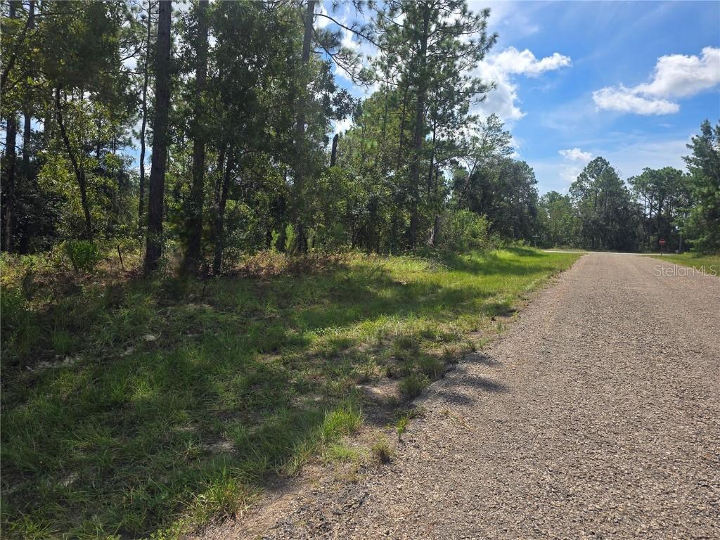 7441 N June Ter., Dunnellon, FL 34434