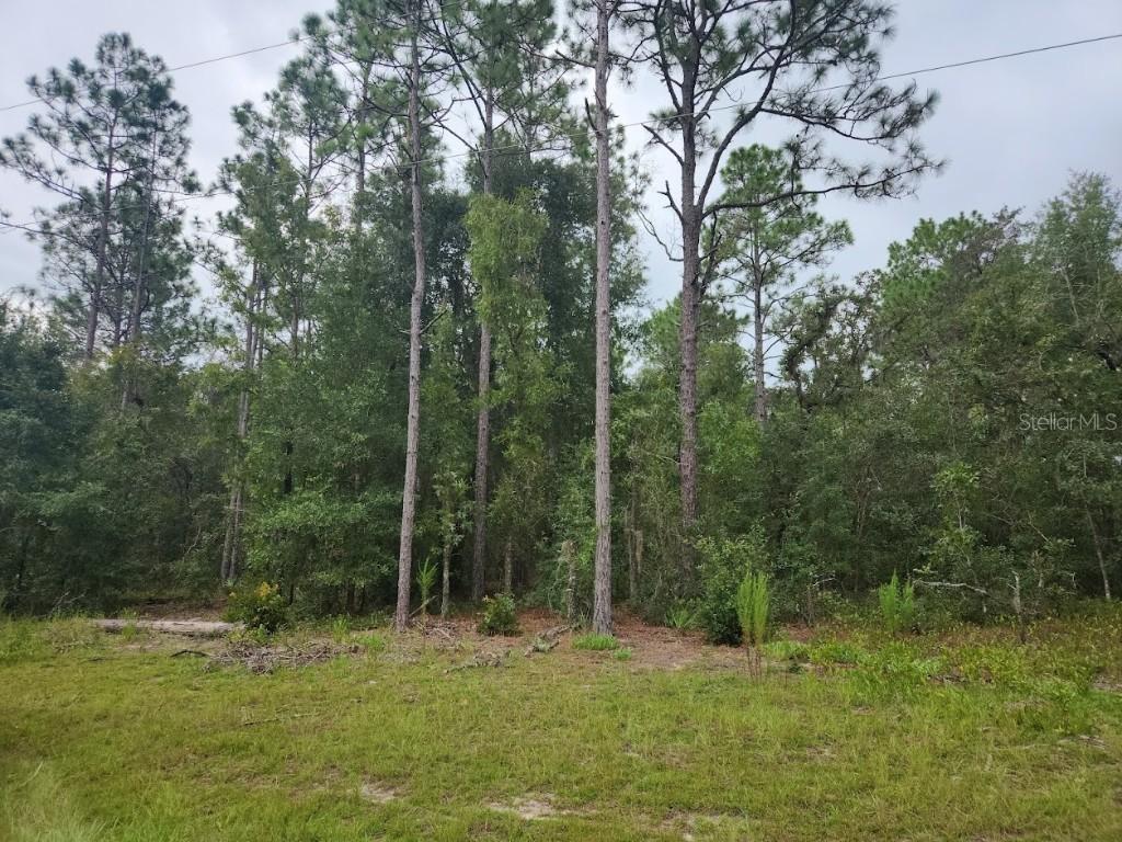 lot 24 SW 89th Cir., Ocala, FL 34473