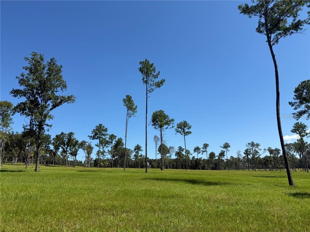 DO #8 (10ac) NW 193rd St, Micanopy, FL 32667