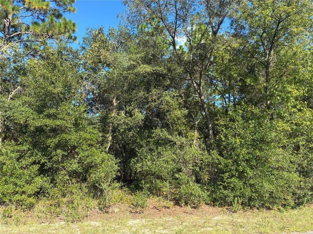 SW Seaweed Ave., Dunnellon, FL 34431