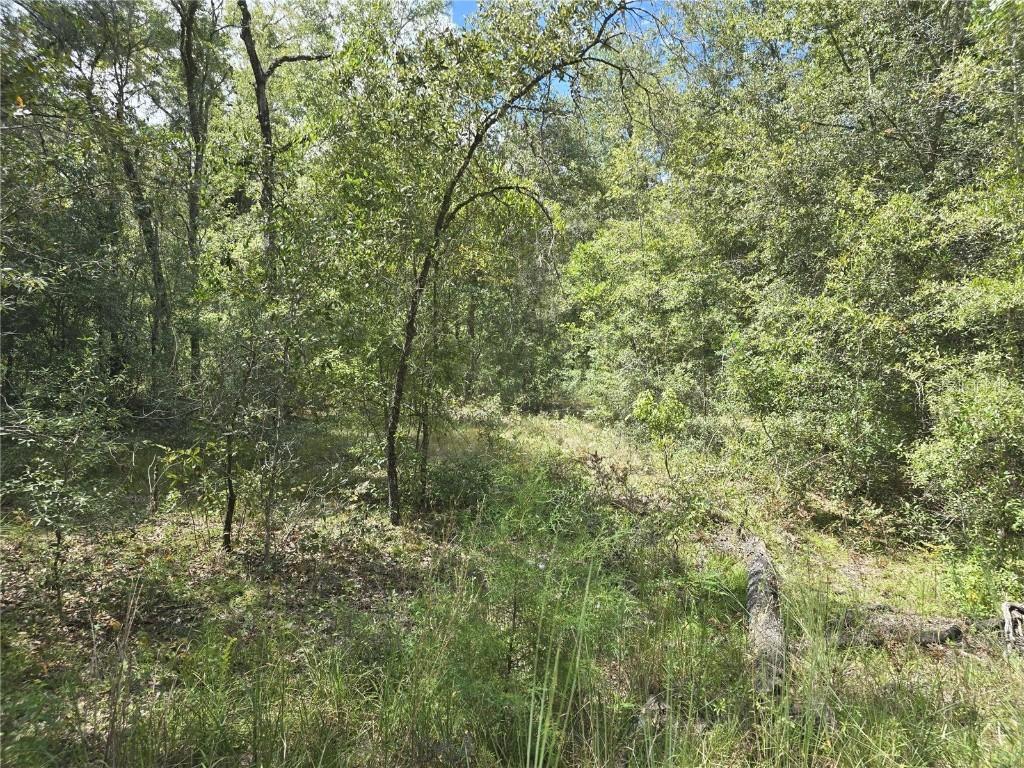 00 NE 150th Ct, Williston, FL 32696