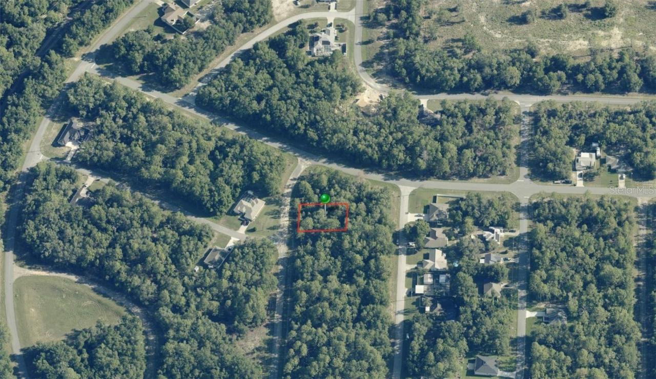 11395 N Cathy Ter., Citrus Springs, FL 34434