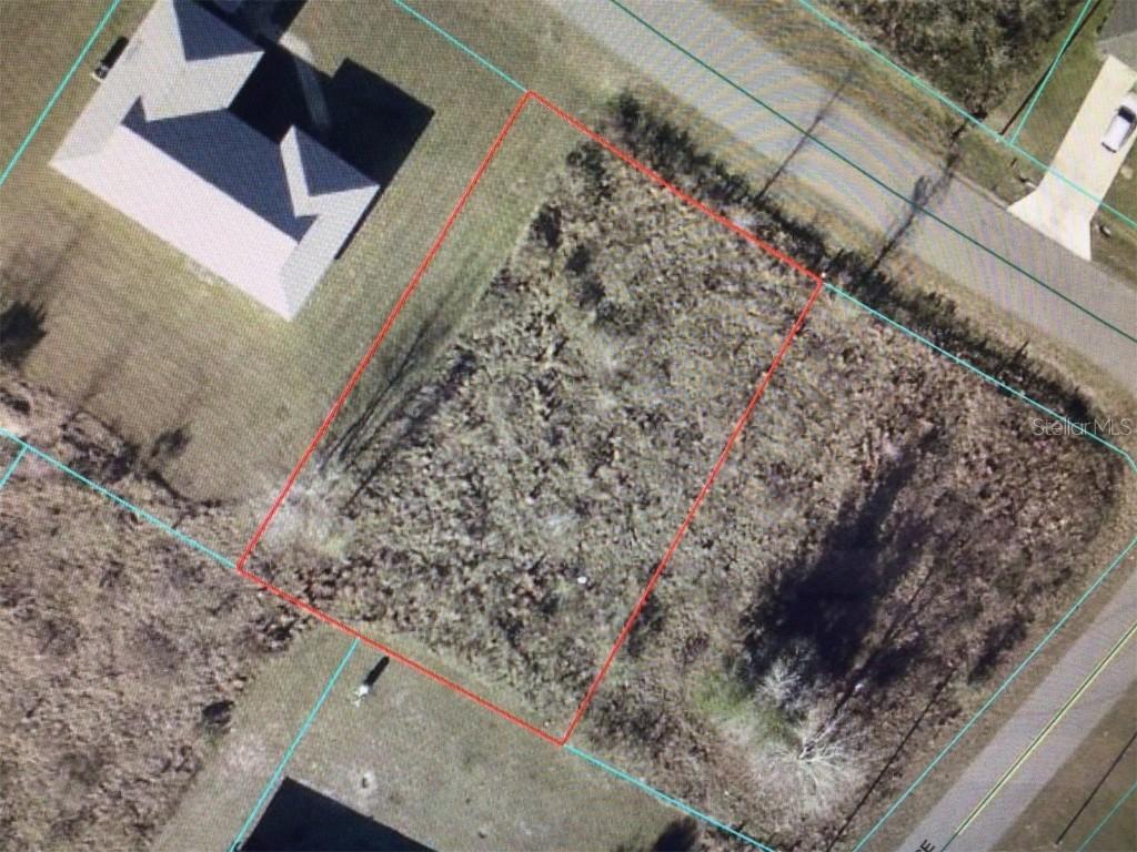 Juniper Run, Ocala, FL 34480