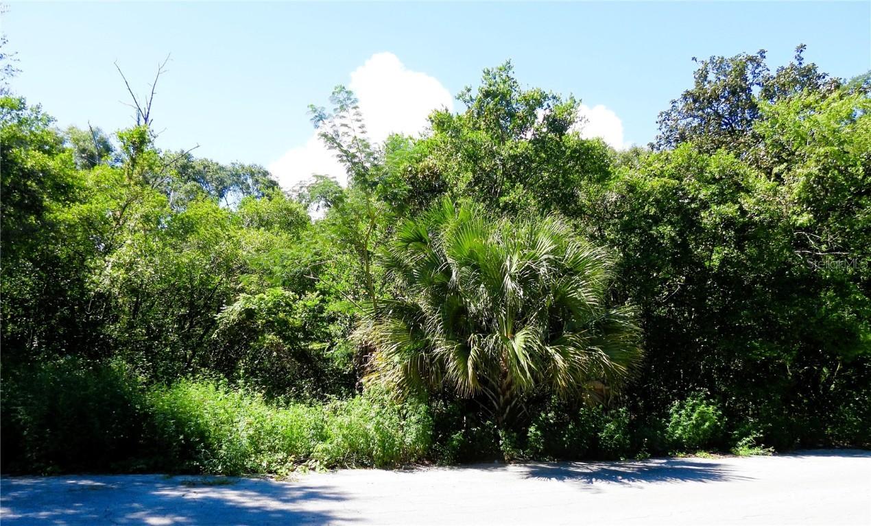 130th Pl., Ocklawaha, FL 32179