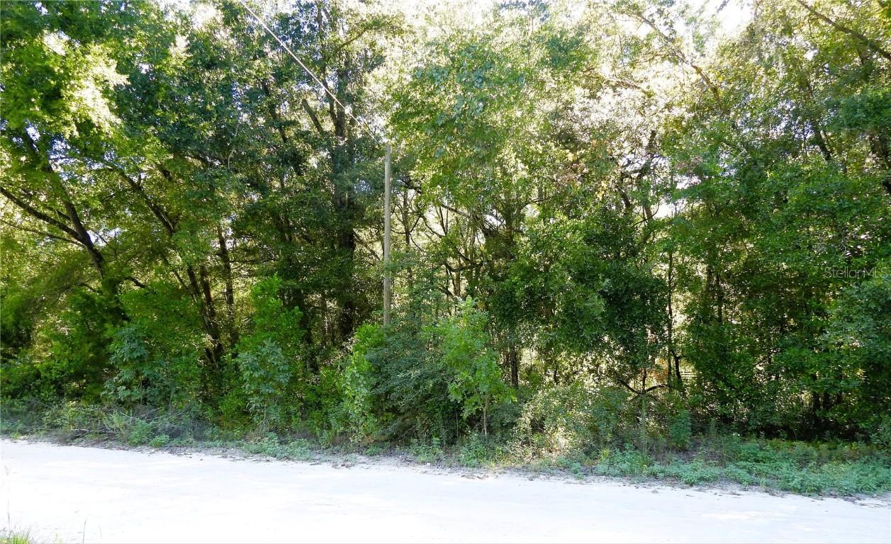 150th Ct., Ocala, FL 34481
