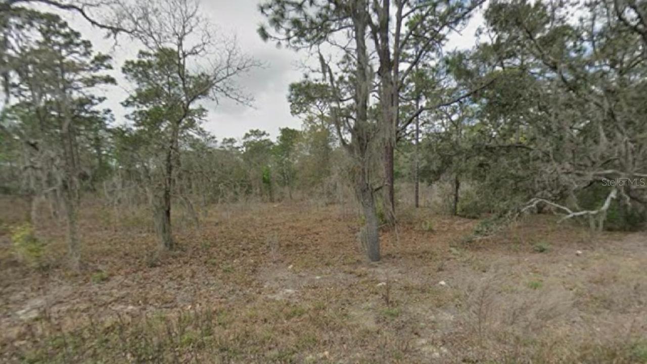 [Address Hidden by Seller], Dunnellon, FL 34432