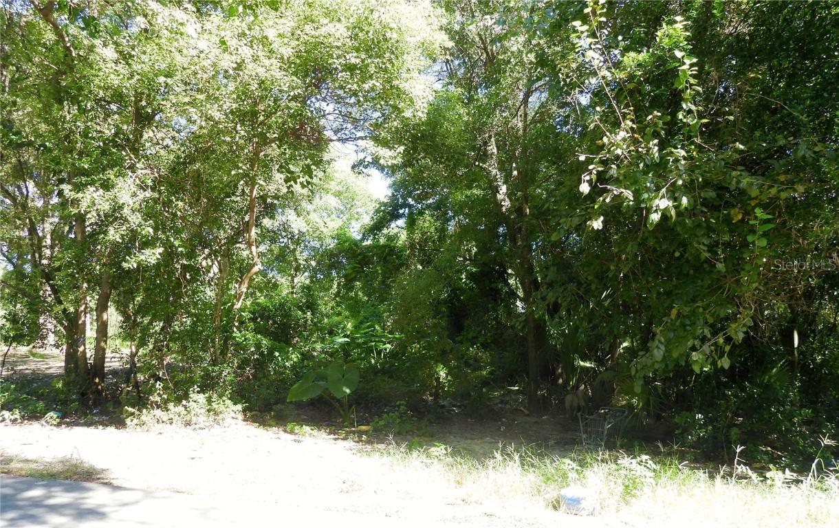 SW 198 Ter., Dunnellon, FL 34432