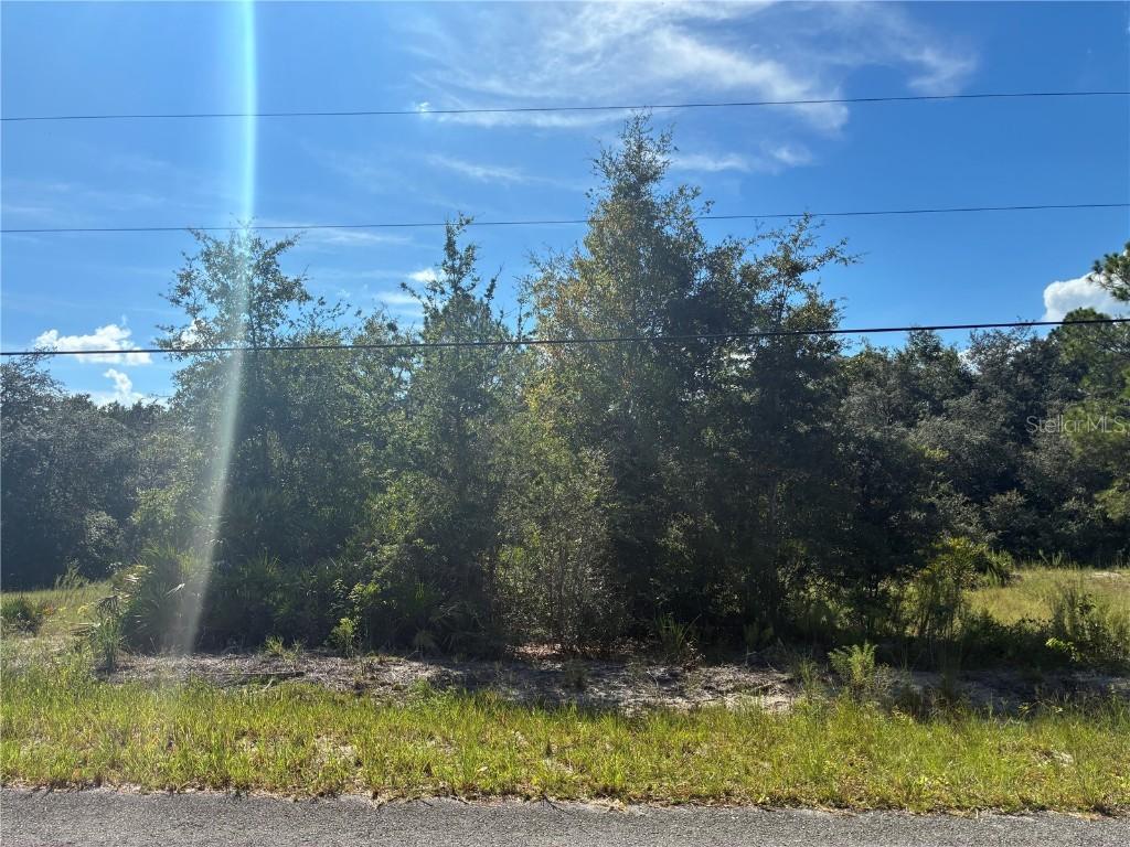 SW South Wind Ct., Dunnellon, FL 34430