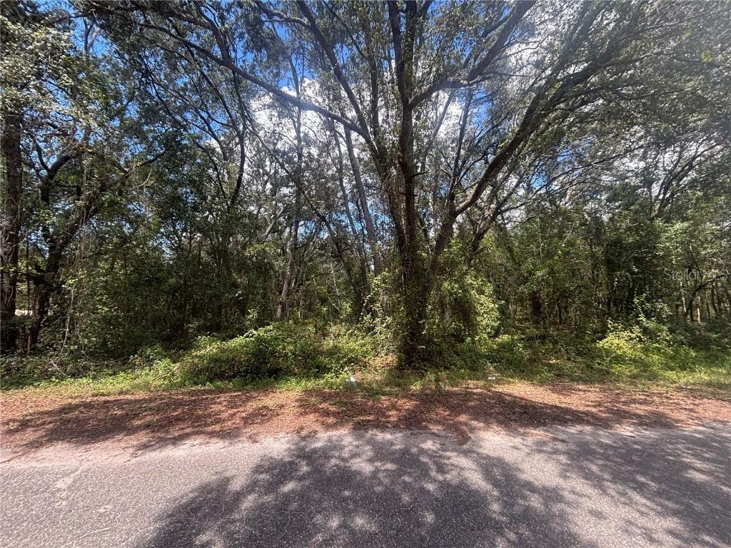 56 Fisher Lane Ct., Ocklawaha, FL 32179