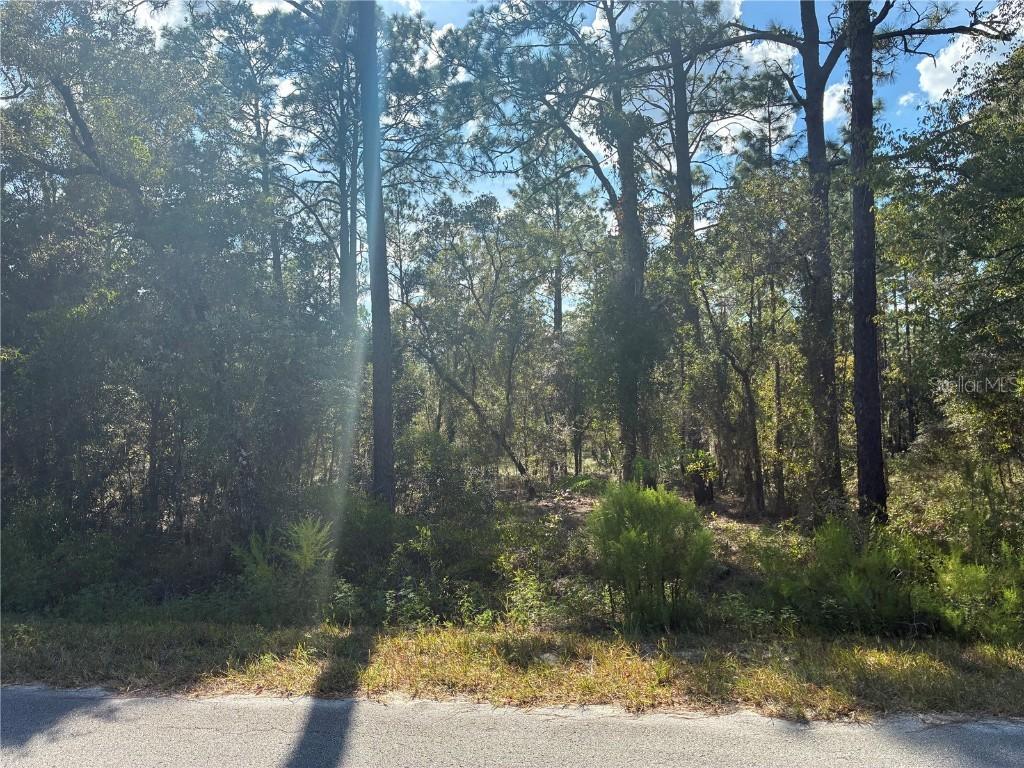 Redwing Rd., Dunnellon, FL 34430
