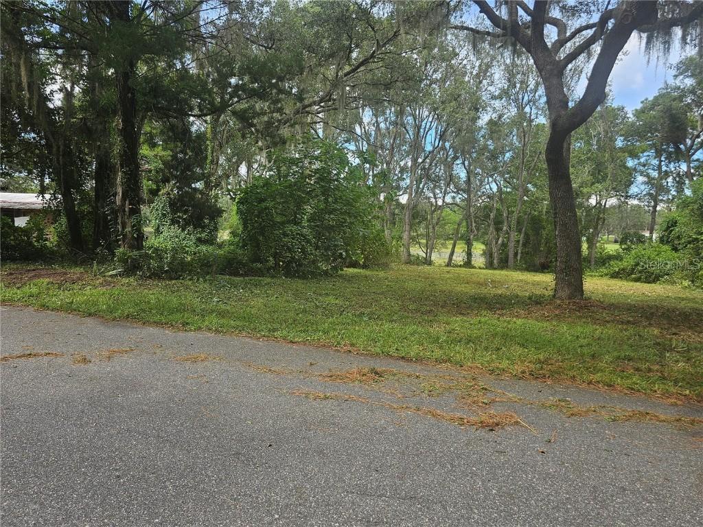 16951 SE 65th St., Ocklawaha, FL 32179