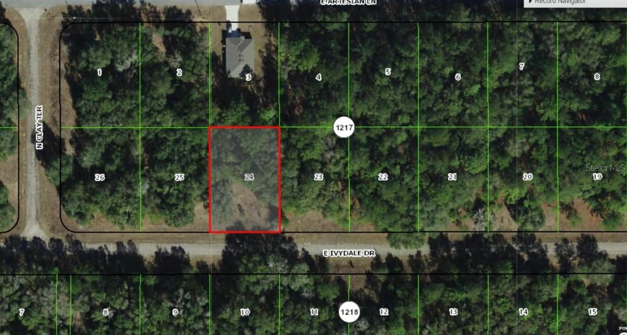 1645 E Ivydale Dr., Dunnellon, FL 34434