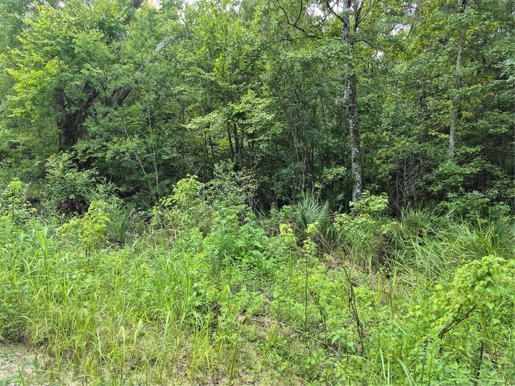 SE 42nd Ct, Belleview, FL 34420