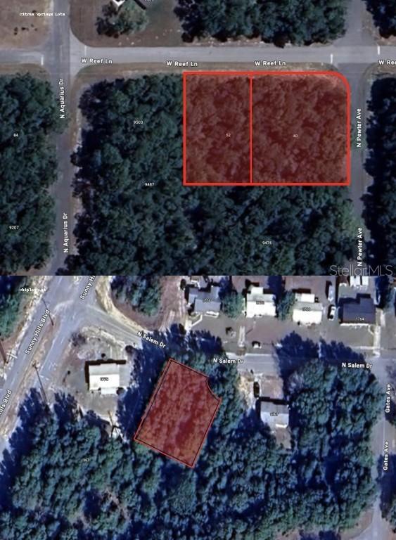 40 W Reef Ln., Citrus Springs, FL 34434