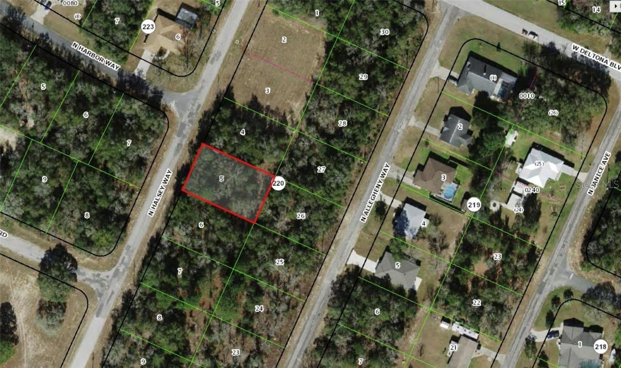 10241 N Halsey Way, Dunnellon, FL 34434