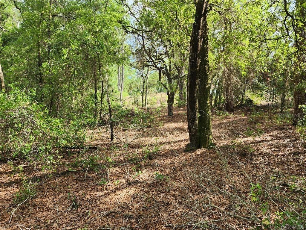[Address Hidden by Seller], Citrus Springs, FL 34434
