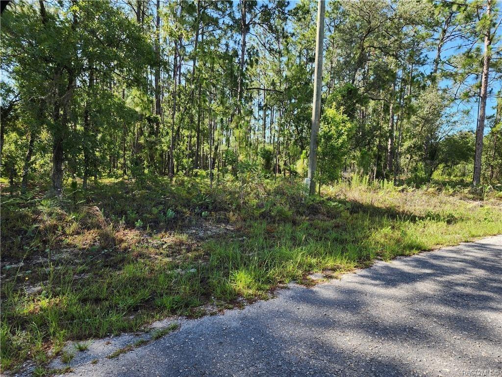 [Address Hidden by Seller], Citrus Springs, FL 34434