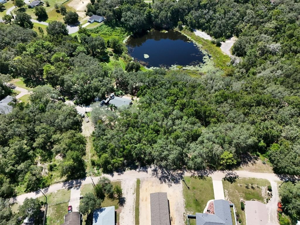 Casaurina Rd., Lady Lake, FL 32159