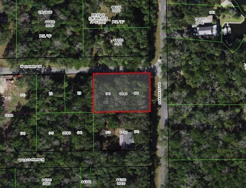 11882 W Eldred Ln., Homosassa, FL 34448