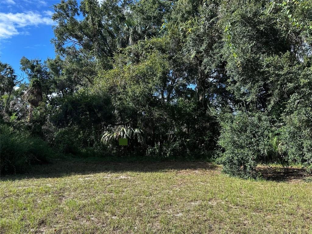 722 Highway 40, Inglis, FL 34449