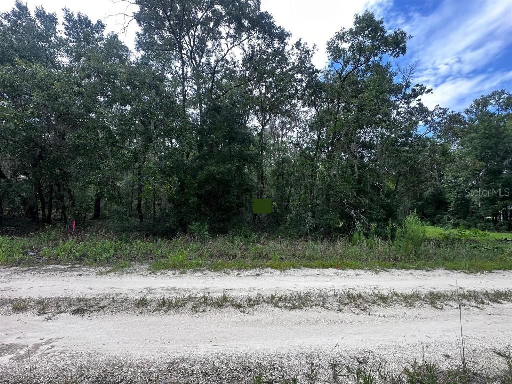 155th Ter., Williston, FL 32696