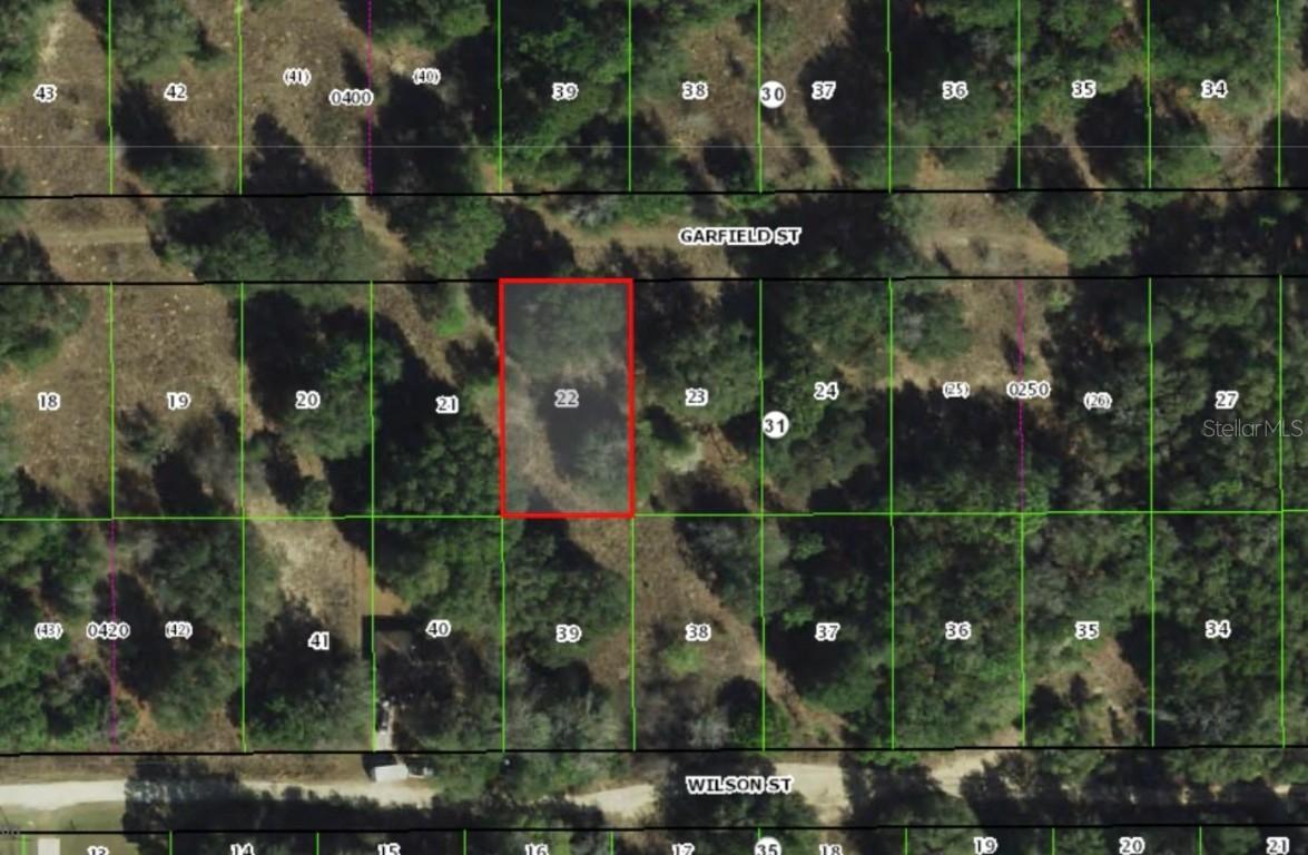 2303 Garfield St., Inverness, FL 34453