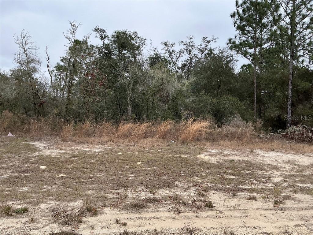 LOT 27 SW 77th Ave., Ocala, FL 34473