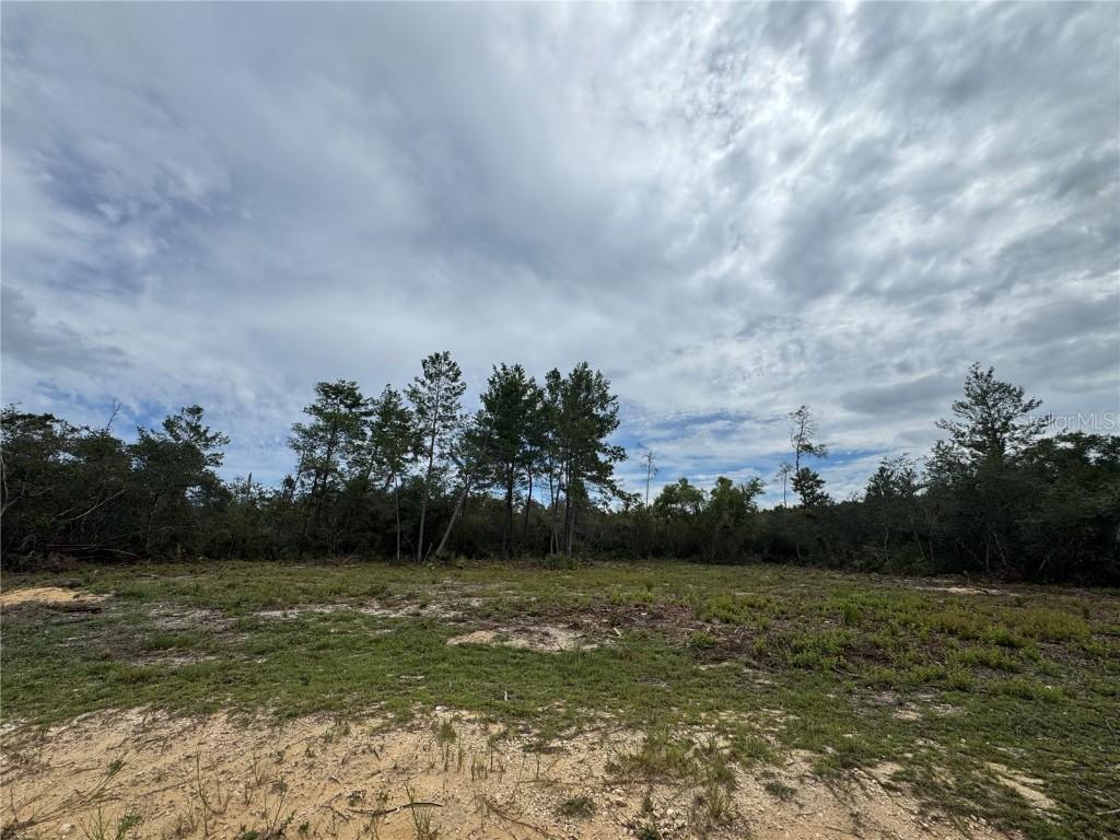 Ne 135th St, Salt Springs, FL 32134