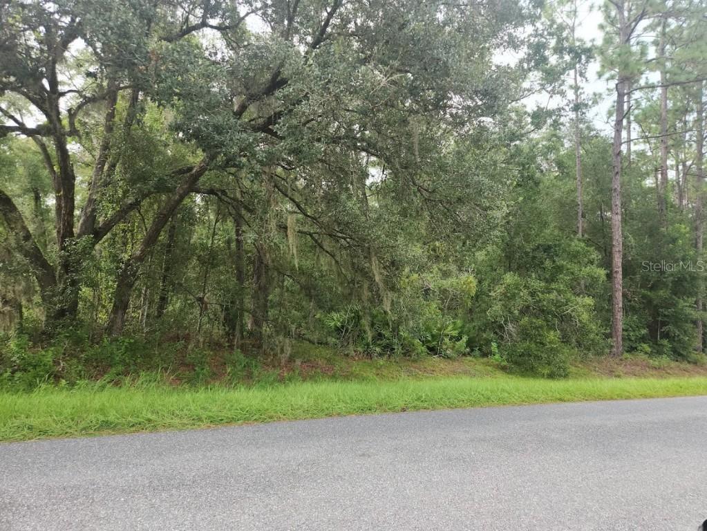 Lot 3 SW 61 St Place Rd., Ocala, FL 34481