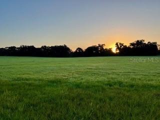 TBD Ne 8th, Citra, FL 32113