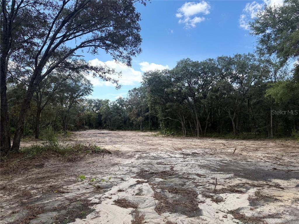 tbd NE 72nd Pl., Bronson, FL 32621