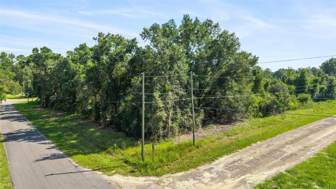 714 E Irene Ln., Citrus Springs, FL 34434