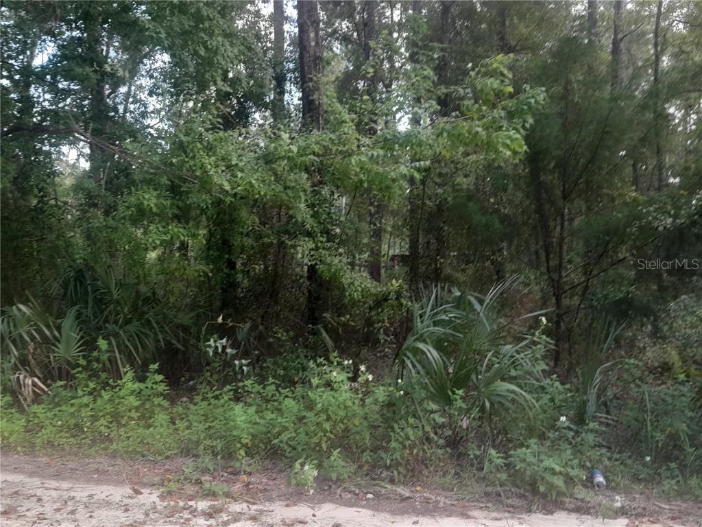 TBD NE 52nd Pl., Williston, FL 32696