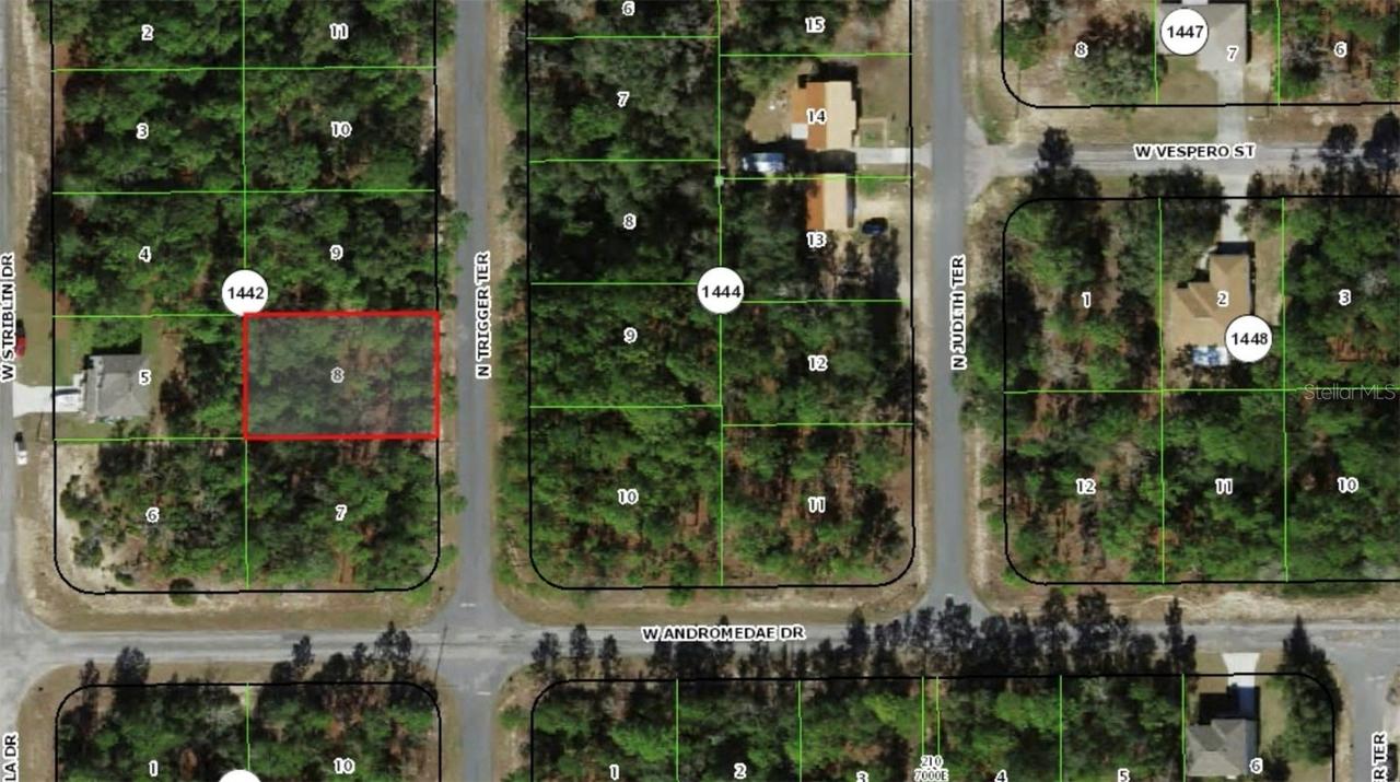 11032 N Trigger Ter., Citrus Springs, FL 34433