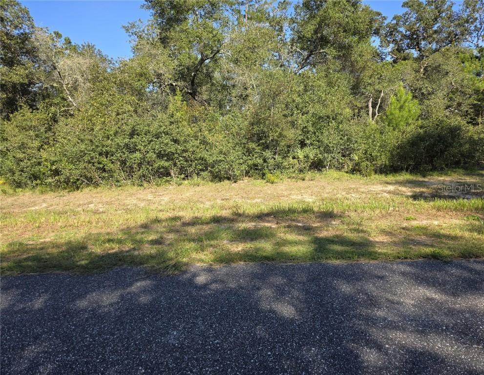 SW 21 Ln., Ocala, FL 34473