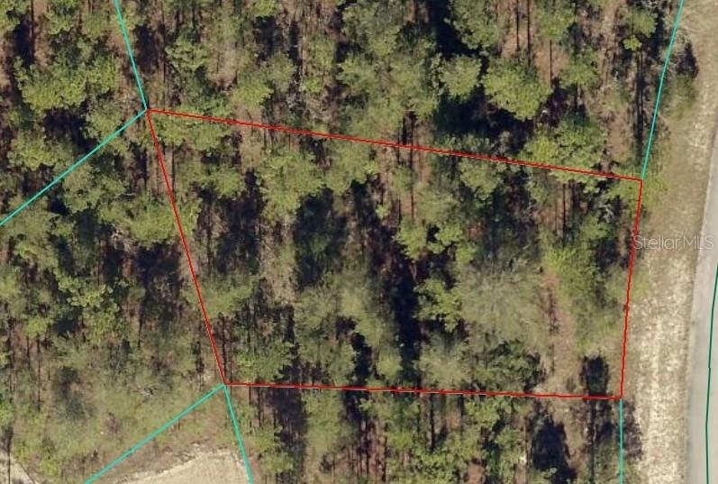 TBD SW 84th Terrace Rd., Ocala, FL 34473