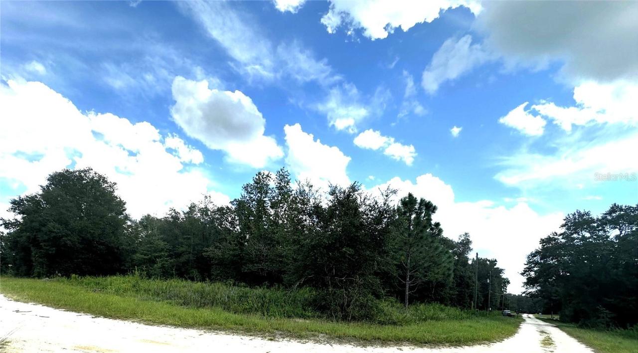 SW 134th Ct., Dunnellon, FL 34432