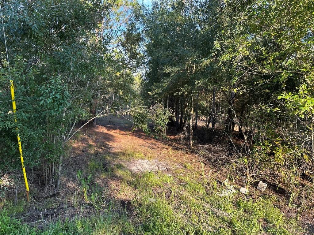 8338 Hardstone Dr., Webster, FL 33597