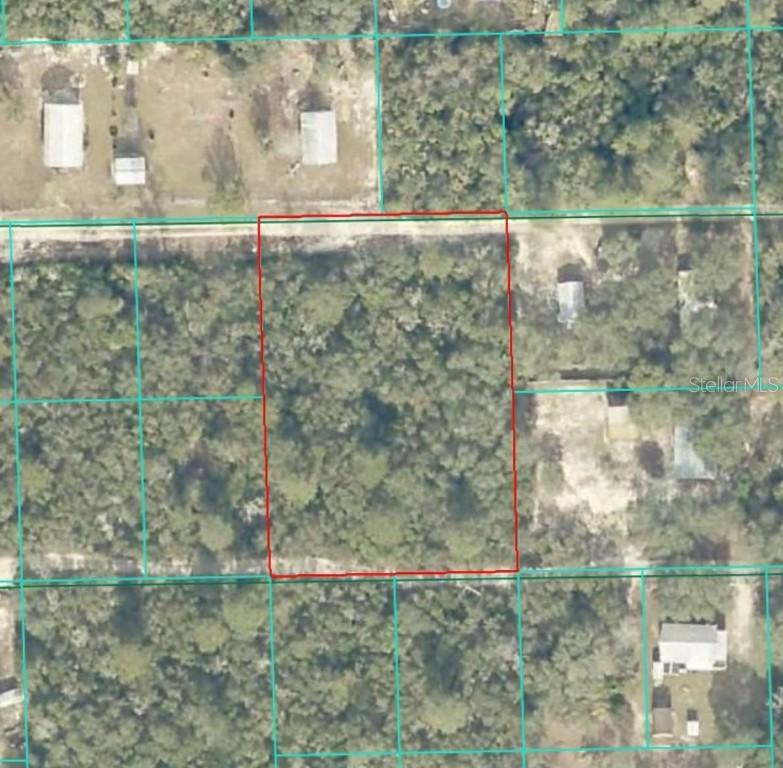 Lot 21 NE Street, Fort Mc Coy, FL 32134