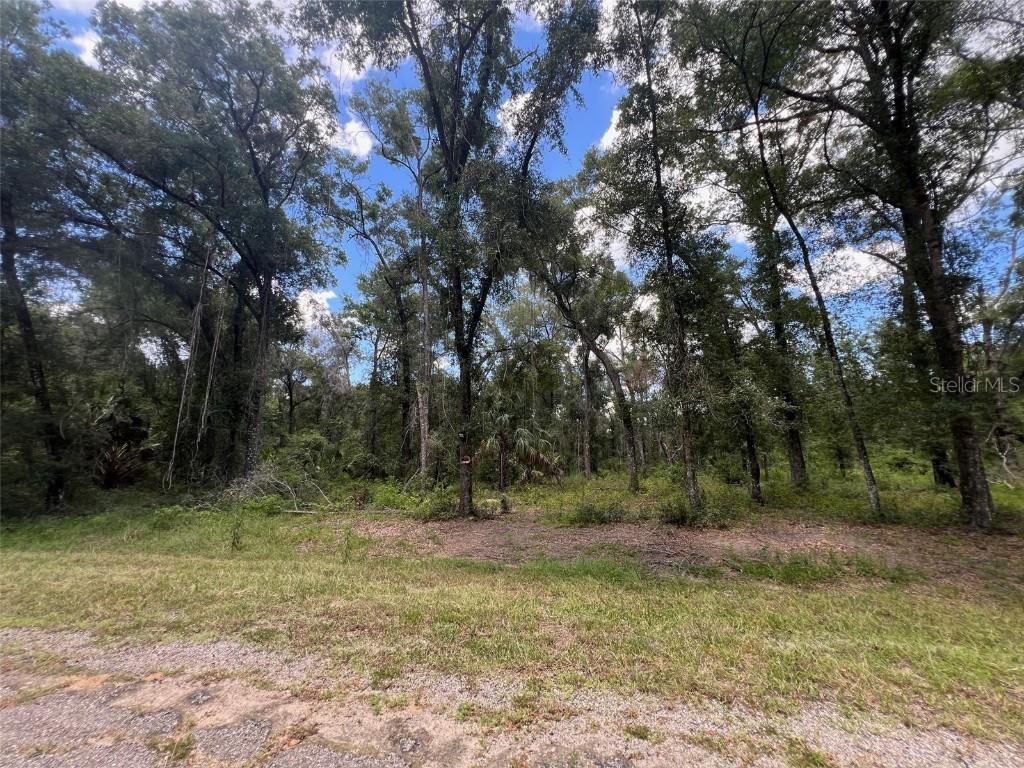 1628 E Derby Dr., Dunnellon, FL 34434