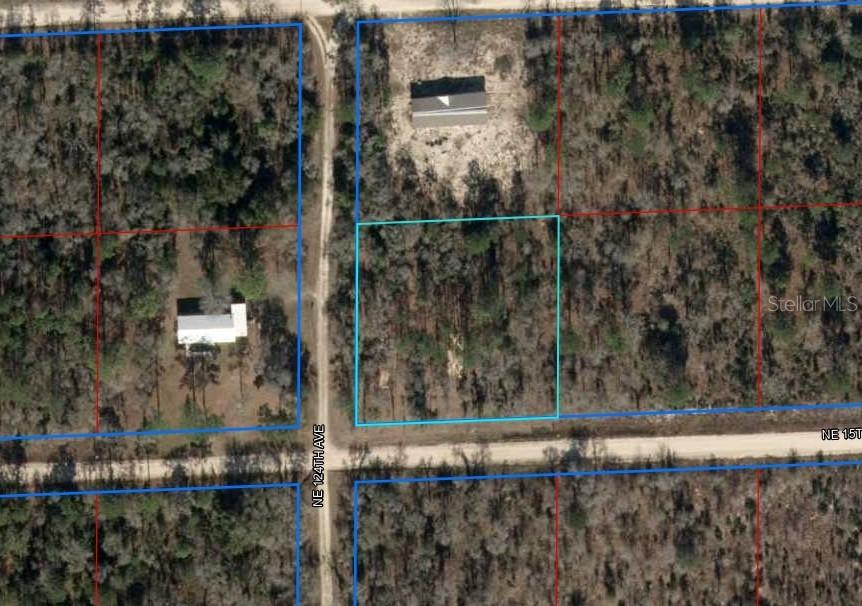 Lot 6 NE 124th St., Williston, FL 32696