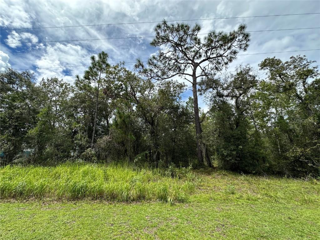 TBD SE 126th Ter., Dunnellon, FL 34431